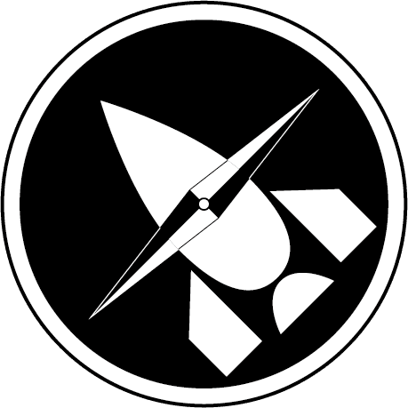 RocketIn.st Logo